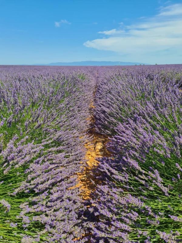 Escapades En Ventoux Βίλα Venasque Εξωτερικό φωτογραφία